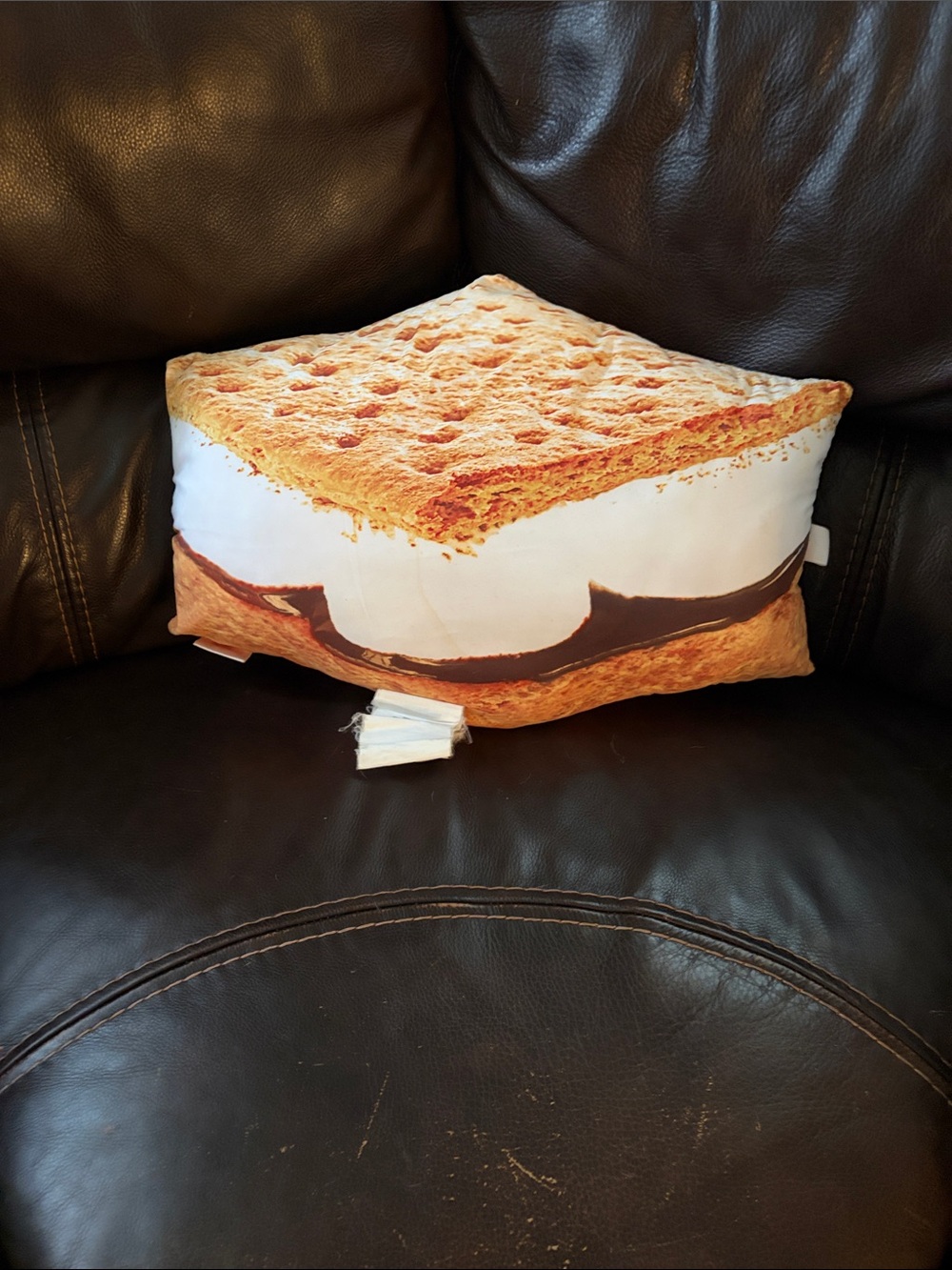 S’mores Pillow